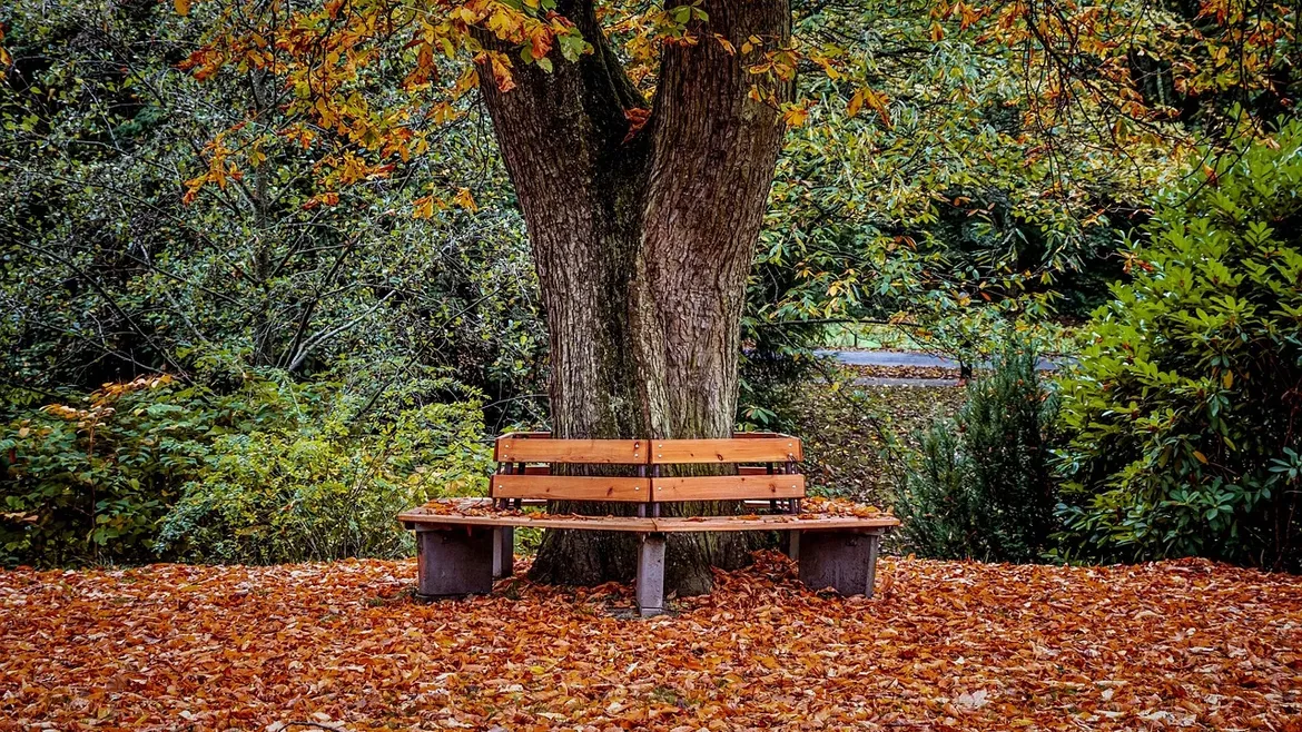 retire with a passive income