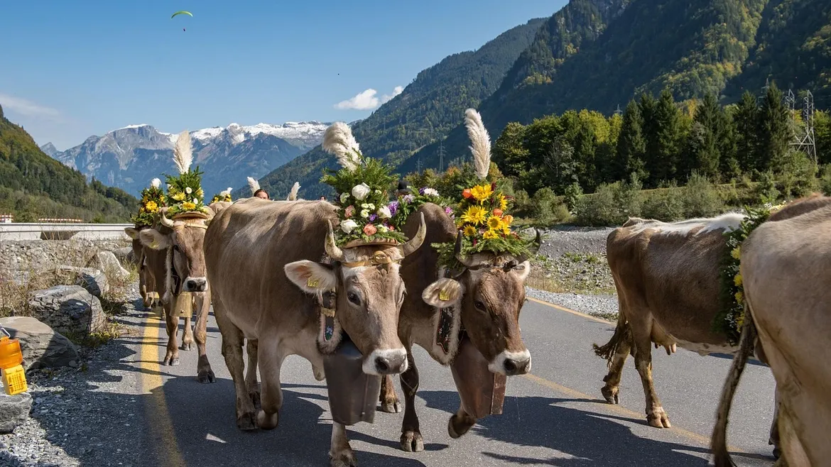 Difference Between a Tax Credit and Tax Deduction