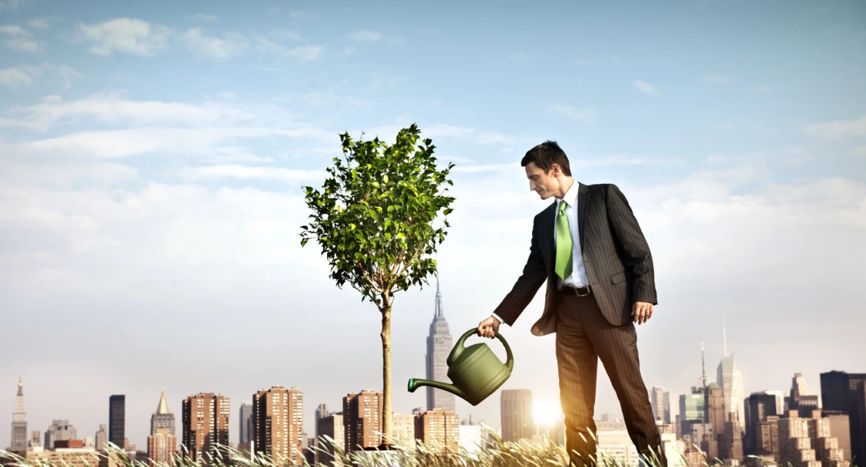 Building Wealth
